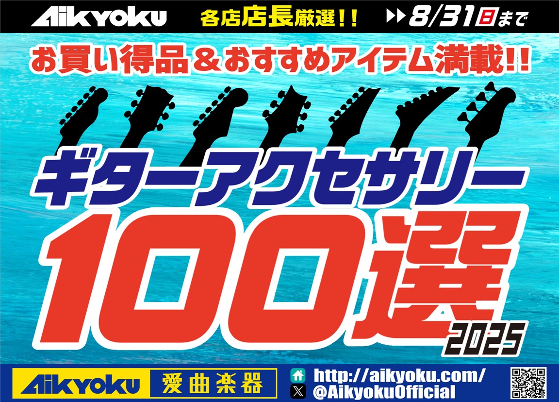 2025 ギターアクセサリー 100選のサムネイル